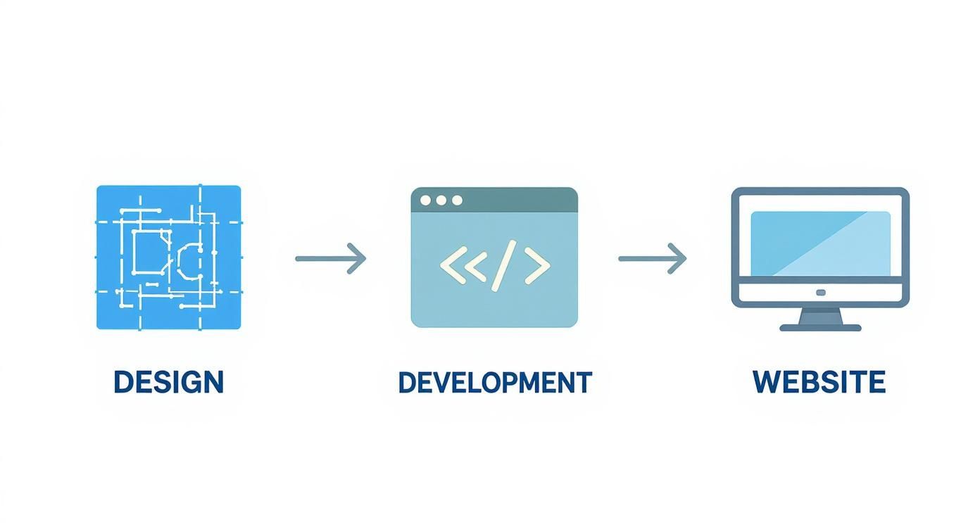 Infographic about website design and website development