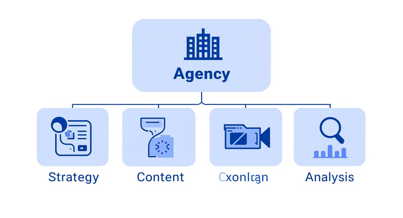 Infographic about social media marketing agency