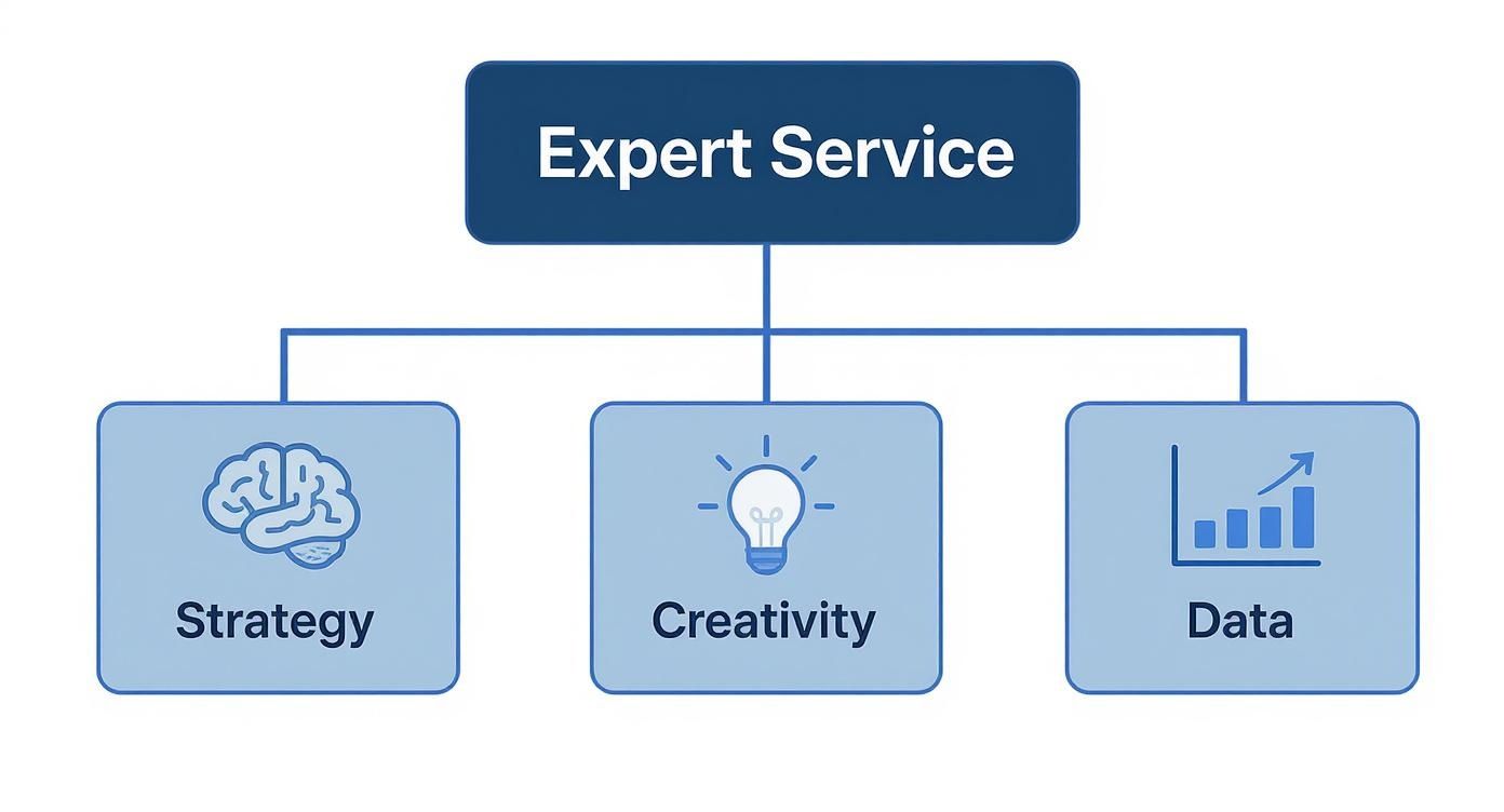 A diagram illustrating expert service components: strategy, creativity, and data with corresponding icons.