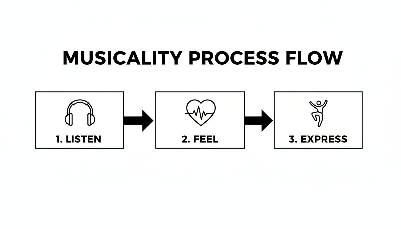 A visual flow chart illustrating the three-step musicality process: Listen, Feel, Express.