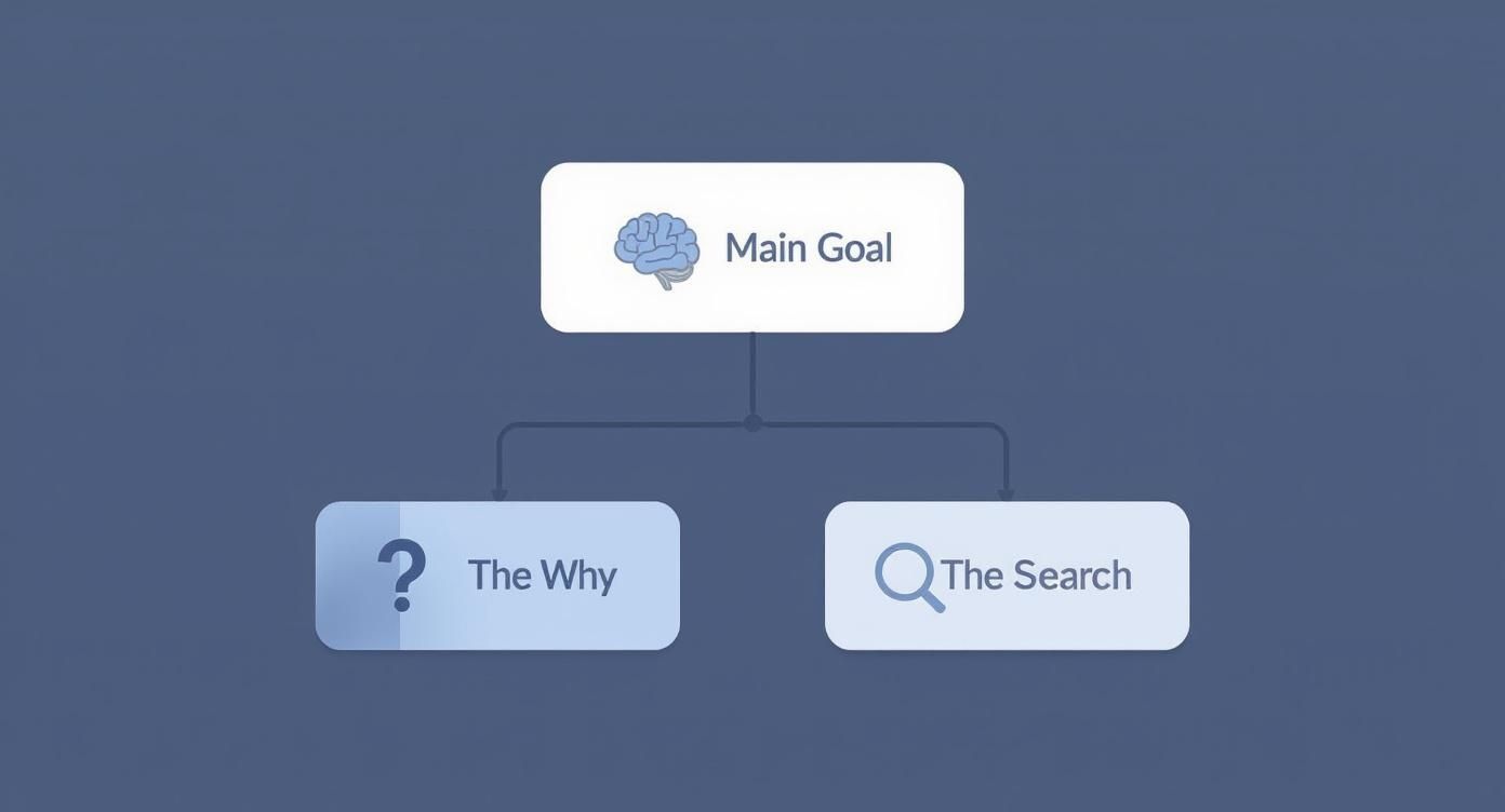 A conceptual diagram showing 'Main Goal' at the top, leading to 'The Why' and 'The Search'.