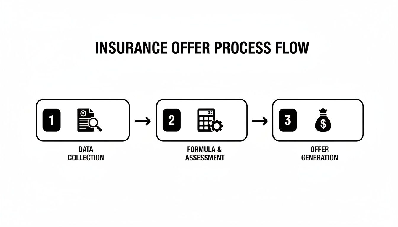 A three-step insurance offer process flow diagram: data collection, formula and assessment, and offer generation.