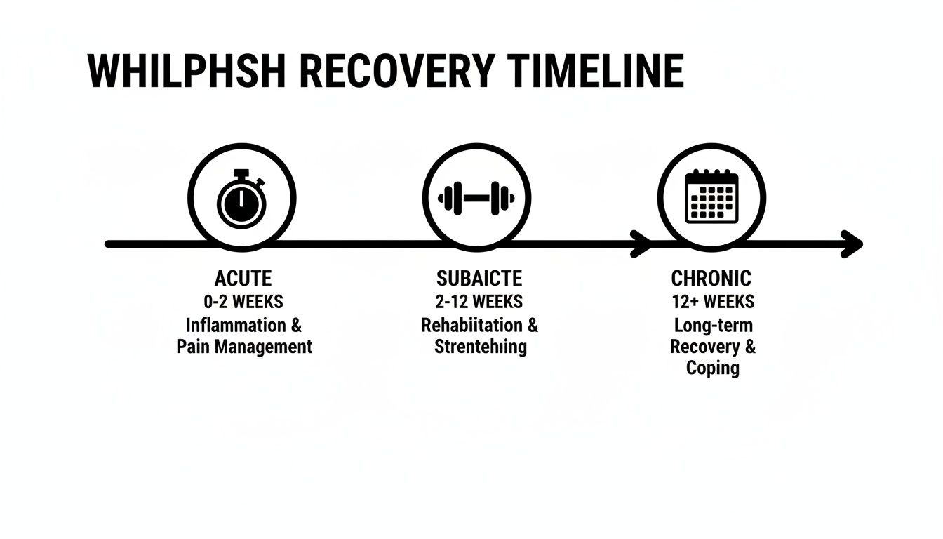 Infographic about whiplash symptoms after car accident