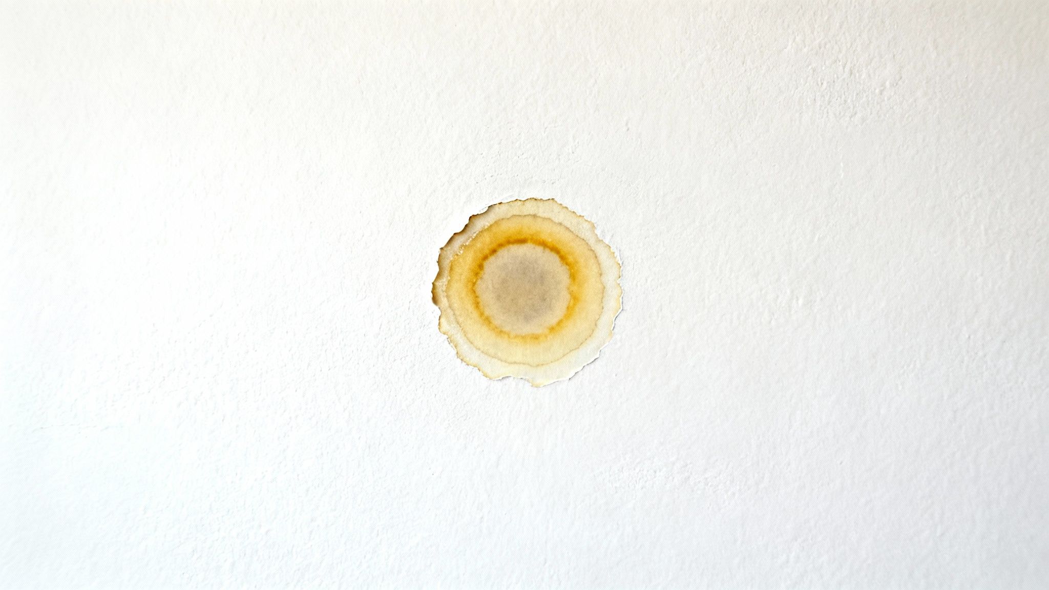 A prominent, discolored circular water stain on a light-colored wall, indicating water leakage.