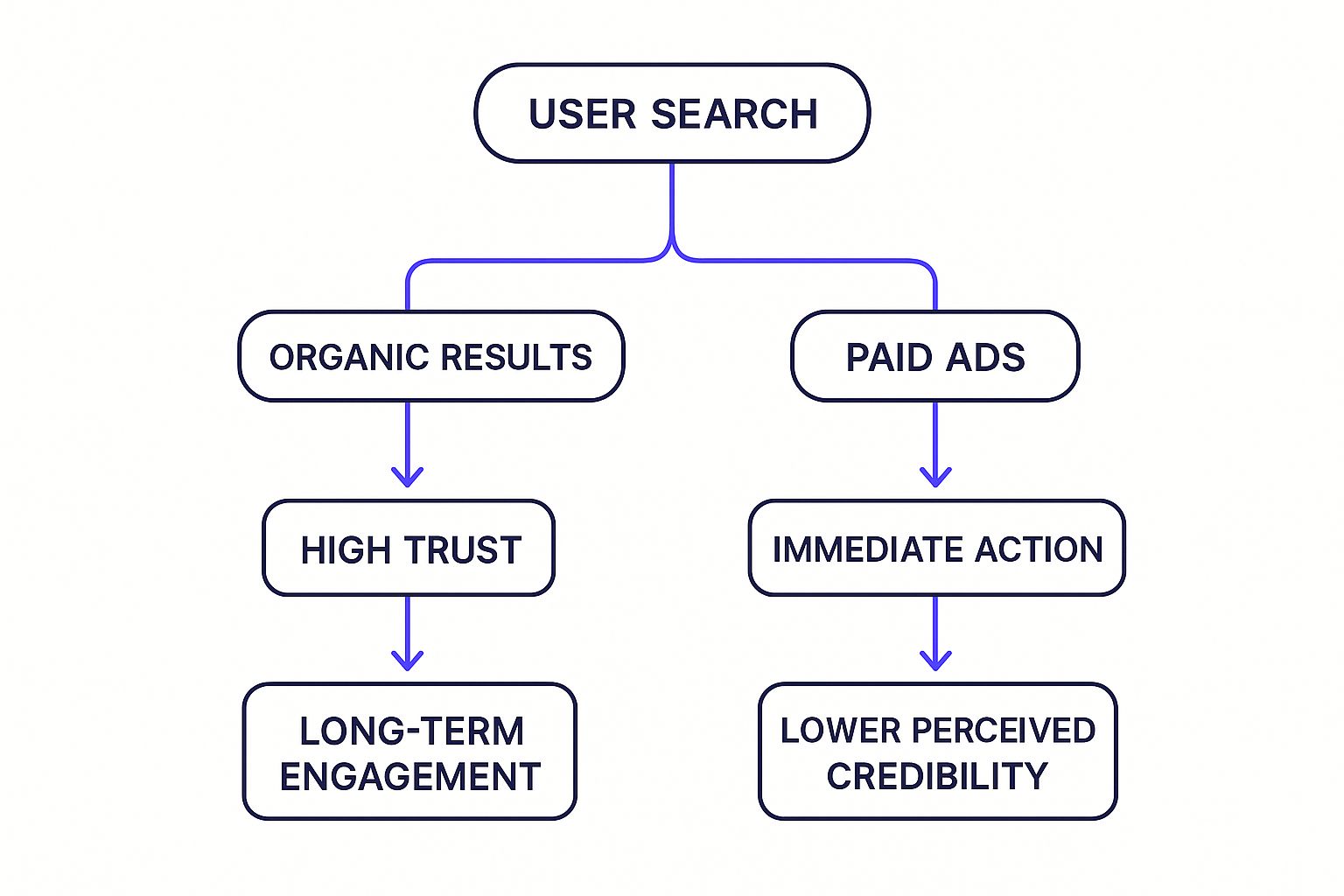 Infographic about organic search vs paid search