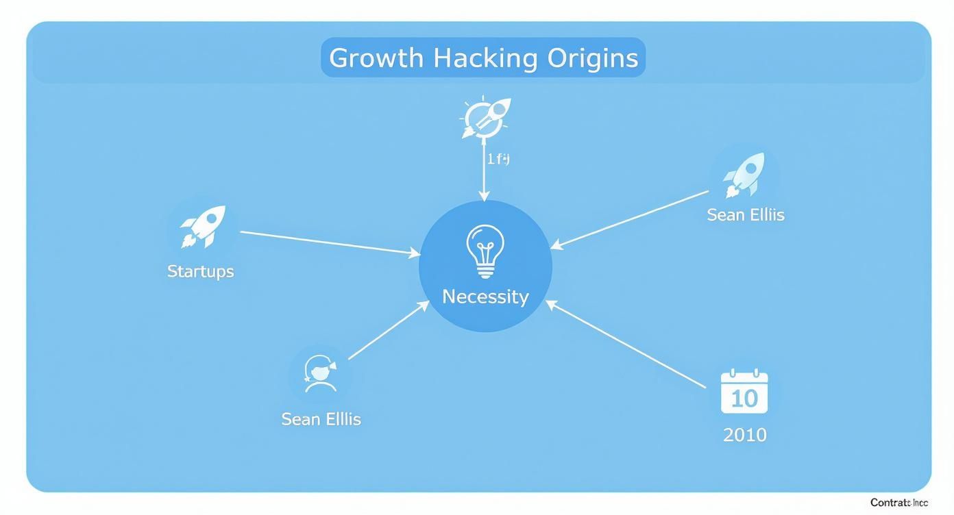 Infographic about what is growth hacking