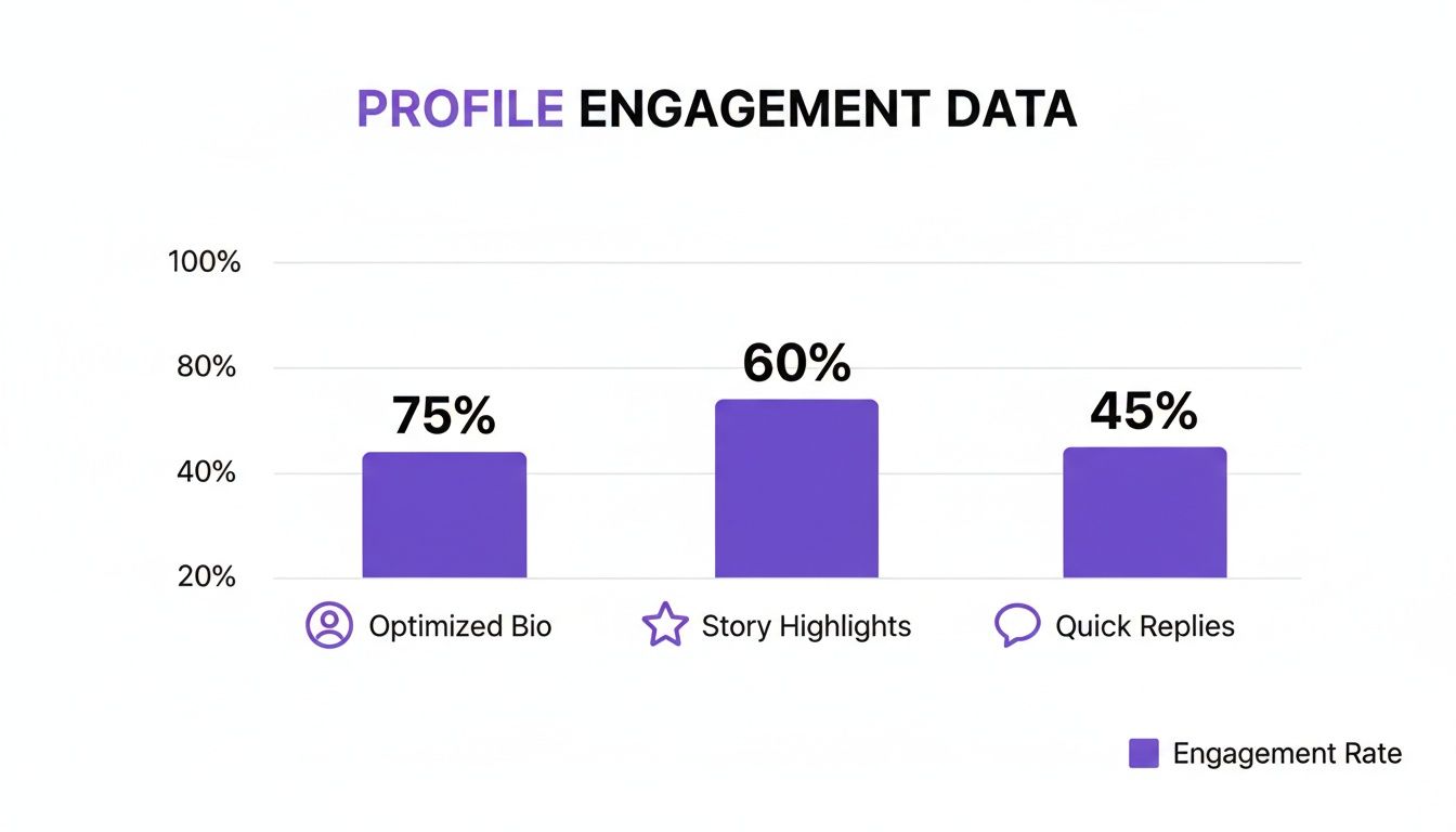 Bar chart displaying profile engagement data: Optimized Bio 75%, Story Highlights 60%, Quick Replies 45%.