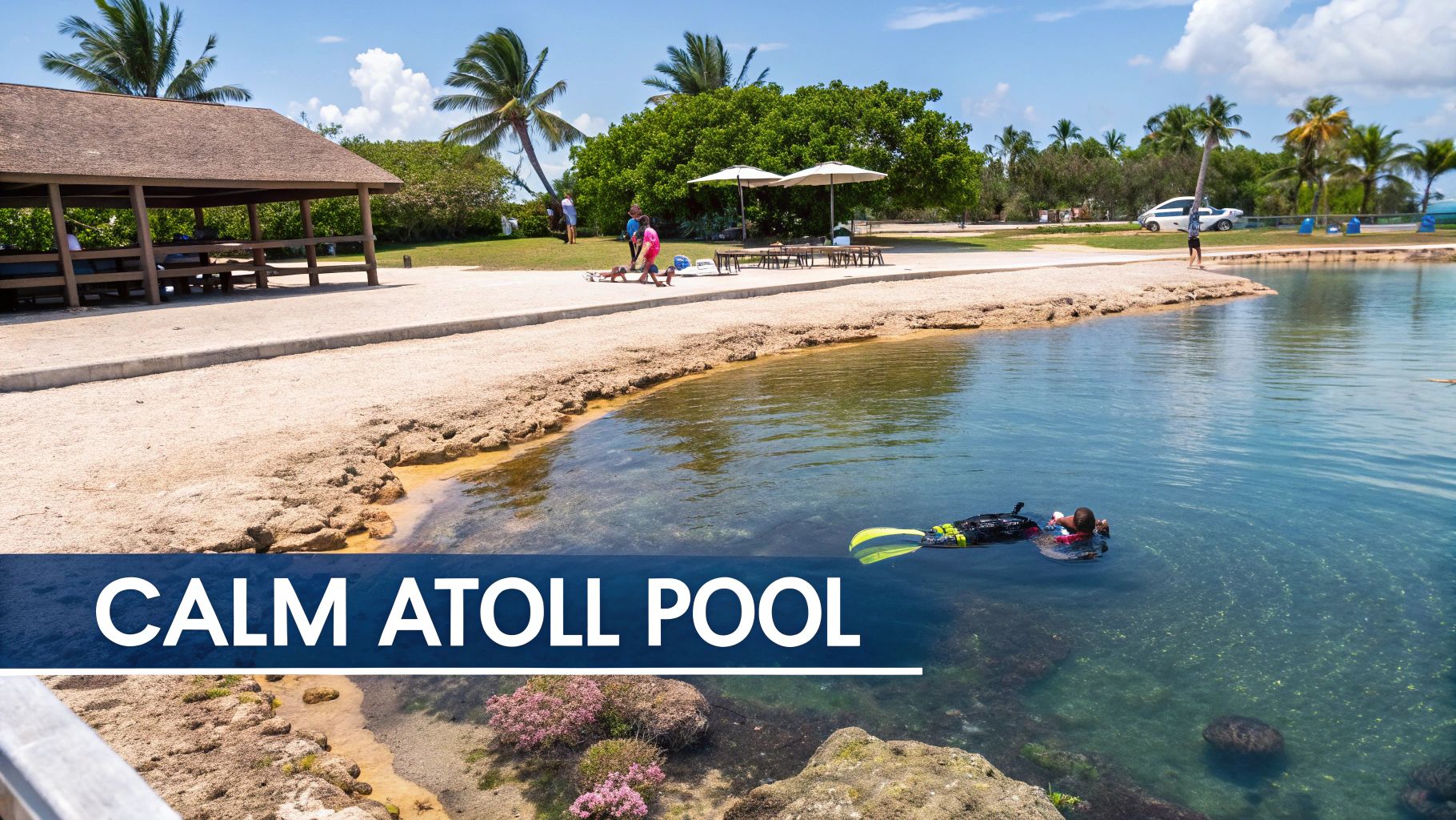 A person snorkels in a clear blue calm pool with a sandy shore, palm trees, and a gazebo under a sunny sky.