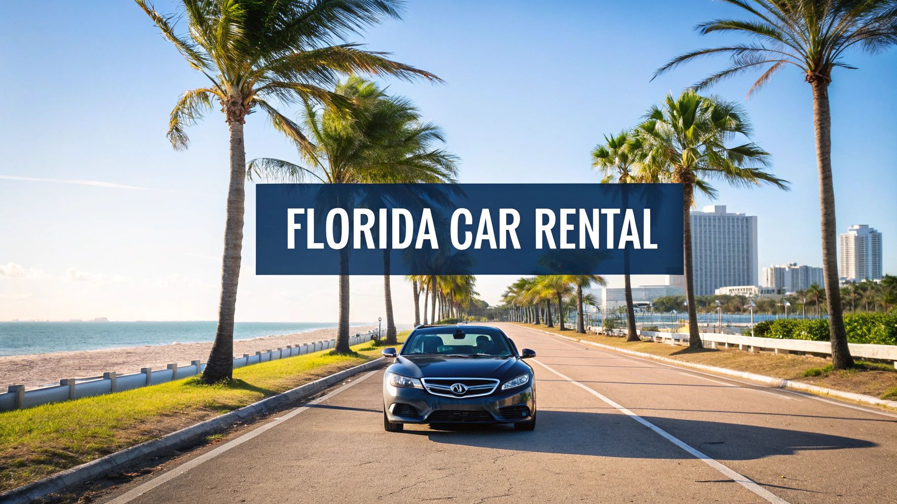 Florida Car Rental Your Guide To The Sunshine State