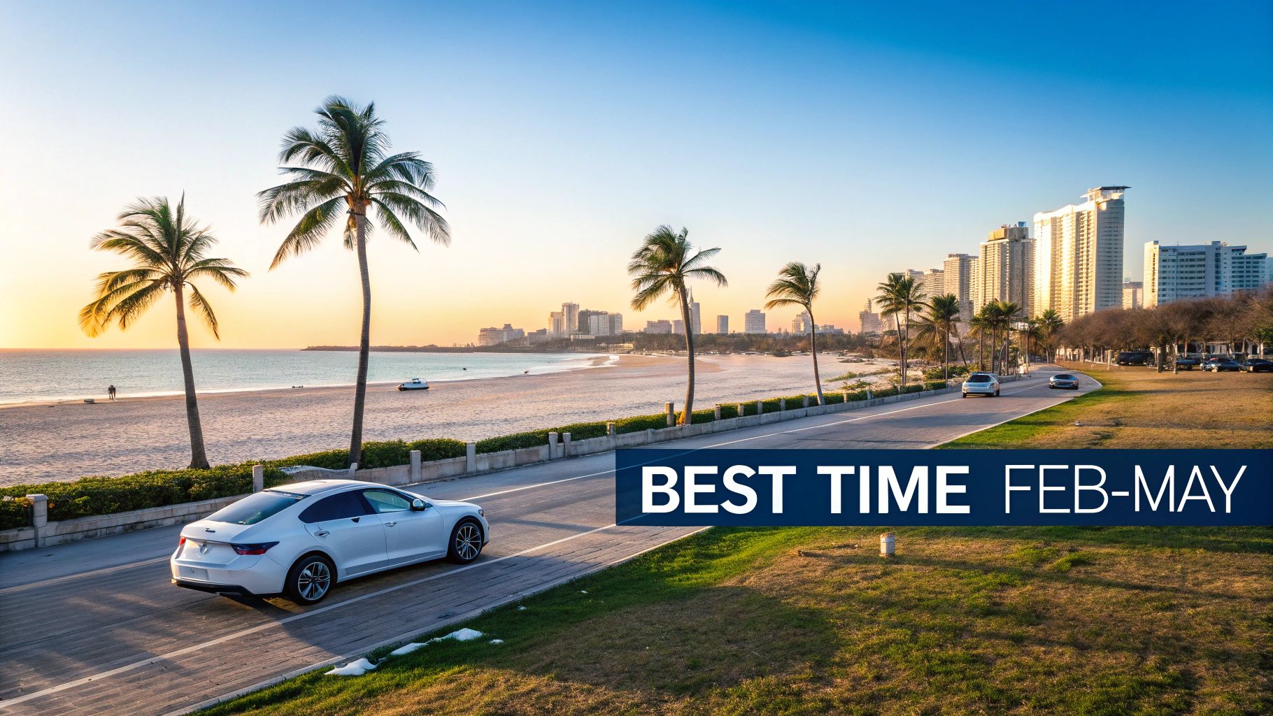 Scenic Miami beach at sunset with palm trees, ocean, city skyline, and cars on a coastal road.