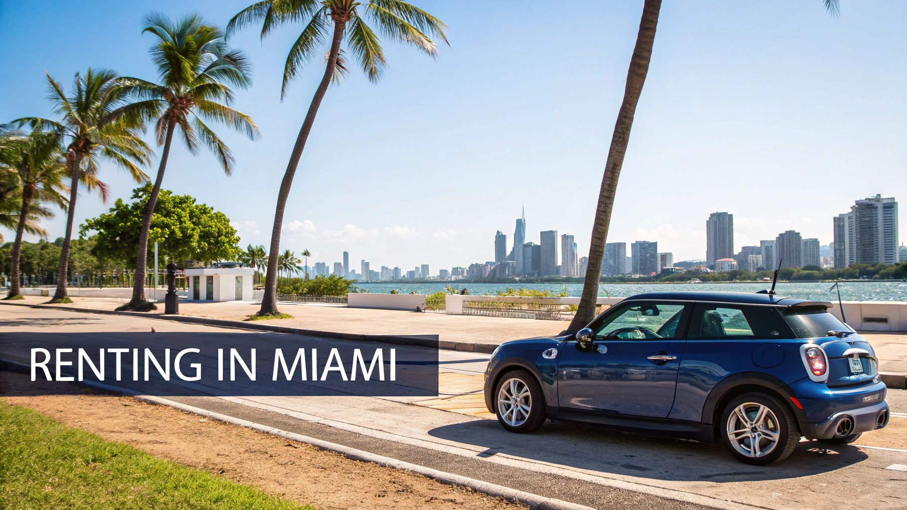 A blue Mini Cooper car parked on a street with palm trees and the Miami city skyline in the background.