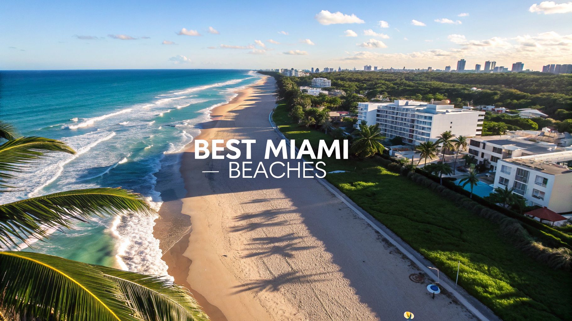 10 Best Beaches in Miami for 2025: A Local's Guide