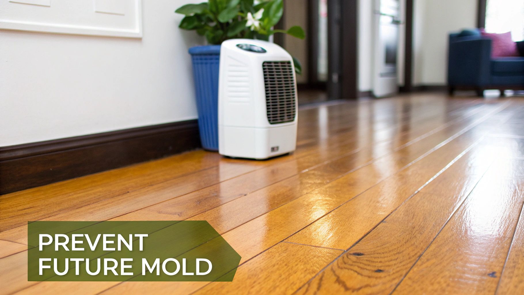A white dehumidifier sits on a shiny hardwood floor next to a blue plant pot, preventing future mold.
