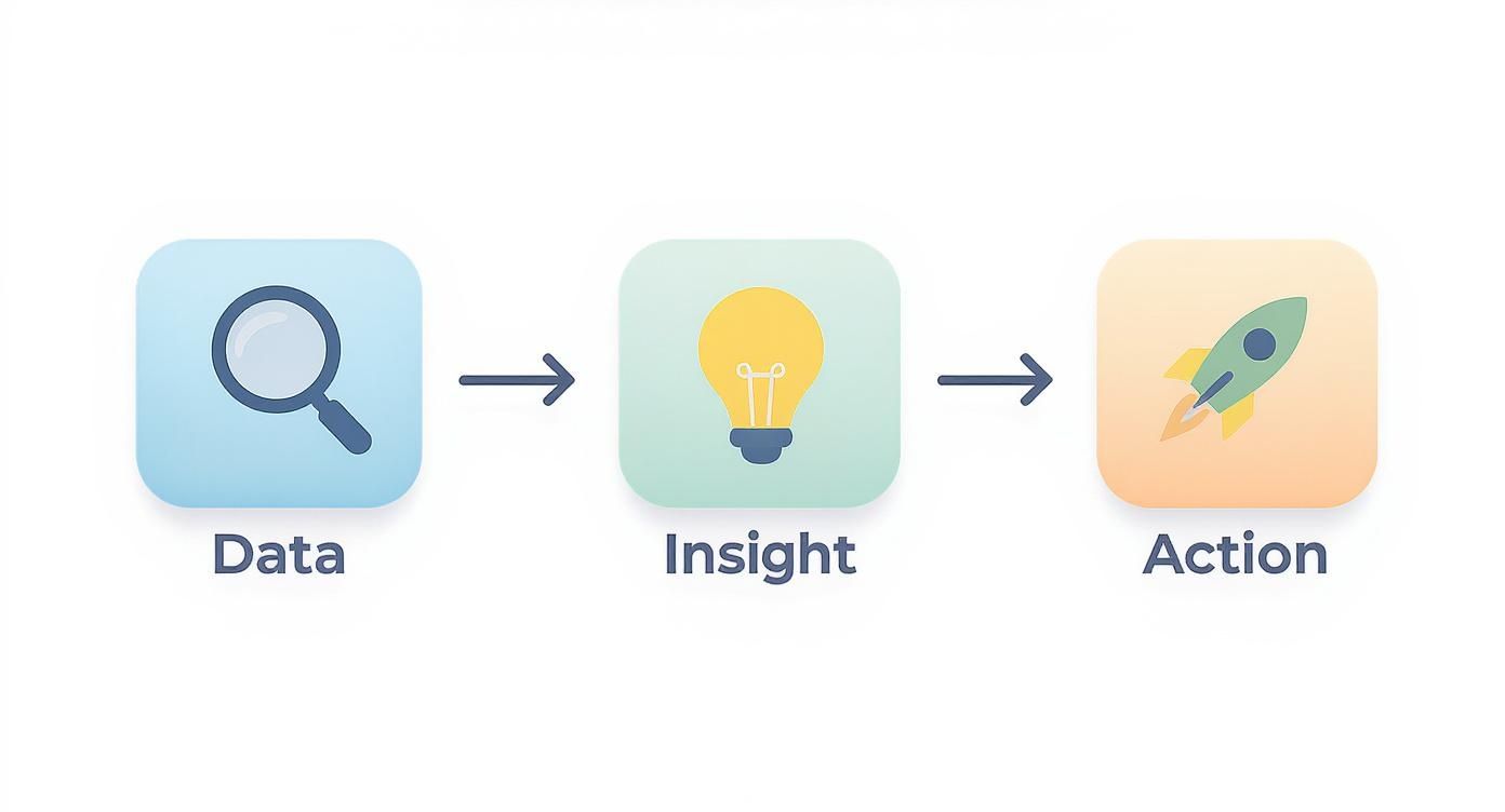 A diagram illustrating the process of turning data into insight and then into action, with icons for each stage.