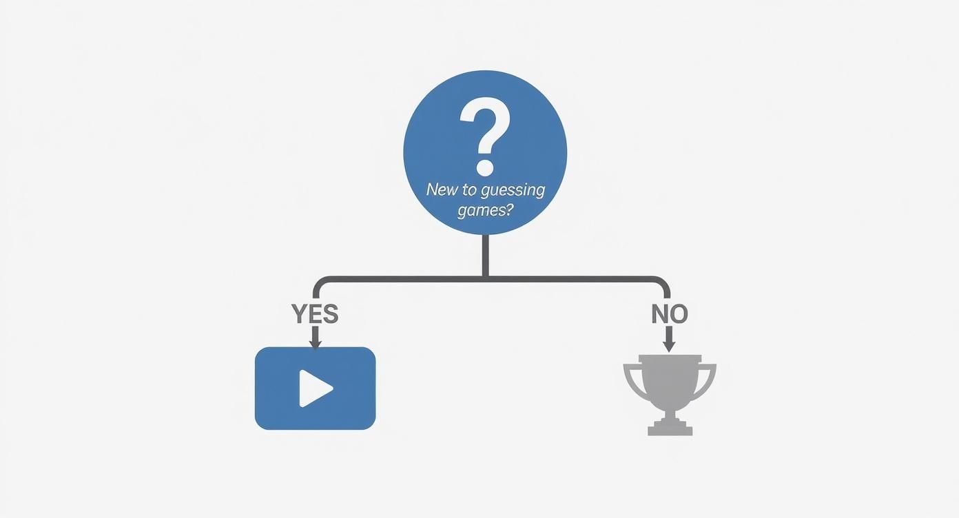 Infographic about nhl player guessing game
