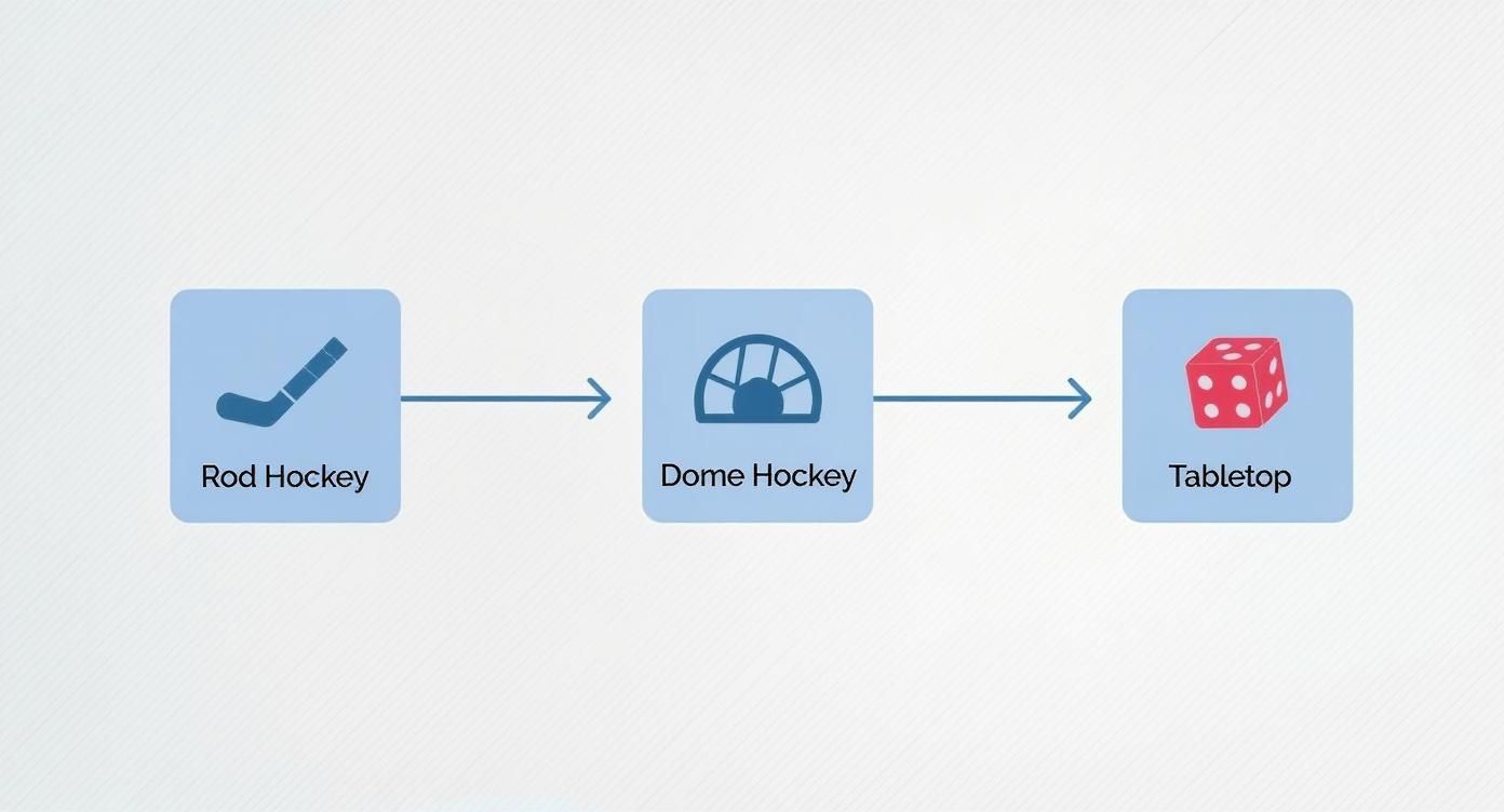 Infographic about board hockey game