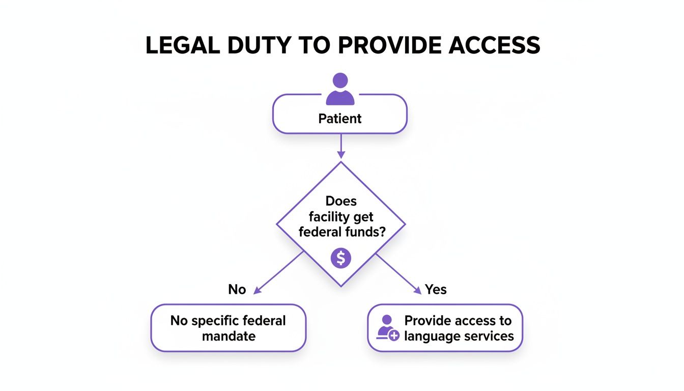 language-barriers-in-healthcare-language-access.jpg
