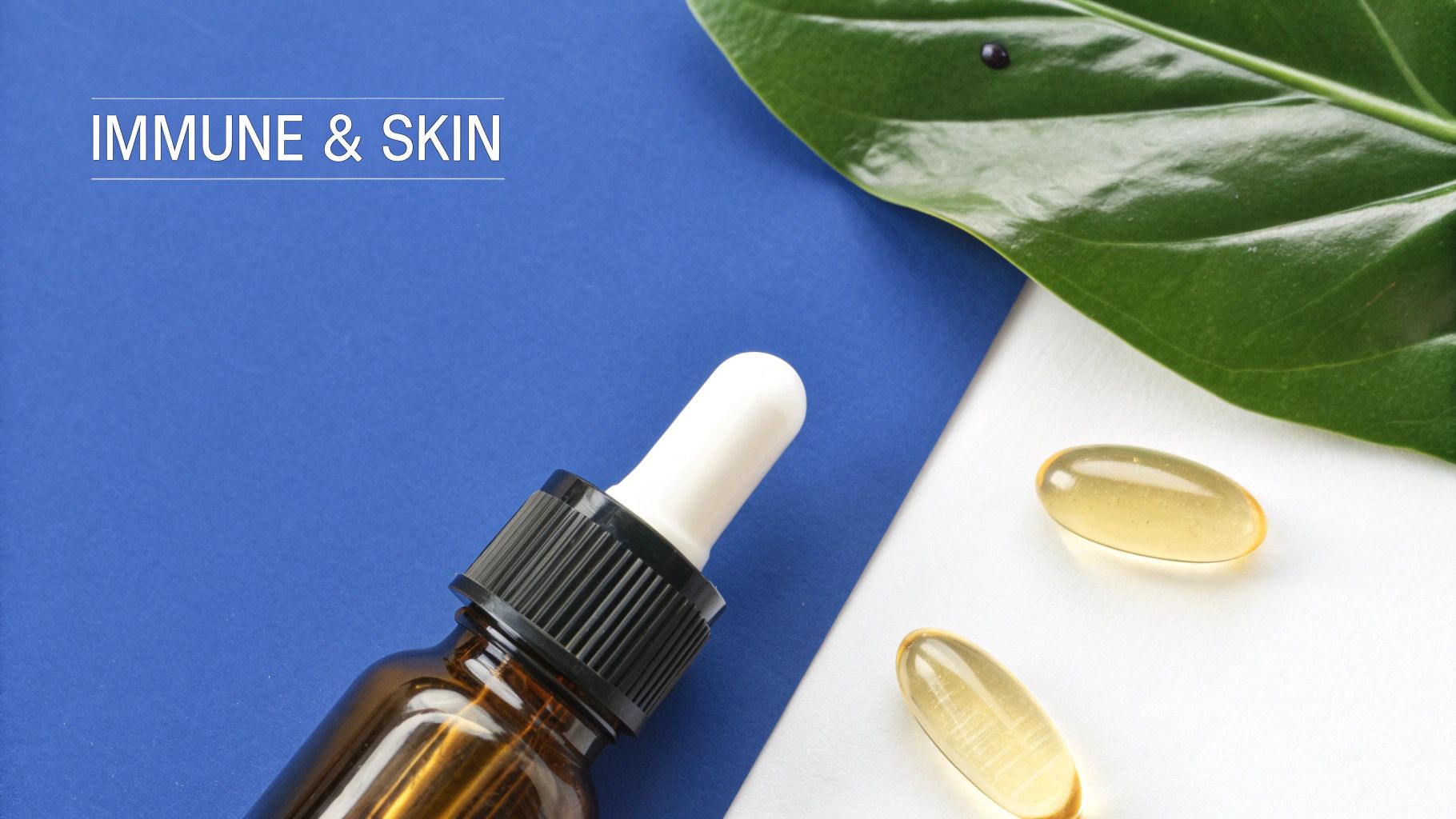 A vibrant image showing citrus fruits, a glowing depiction of collagen strands, and a shield icon, representing skin health, collagen production, and immune support.