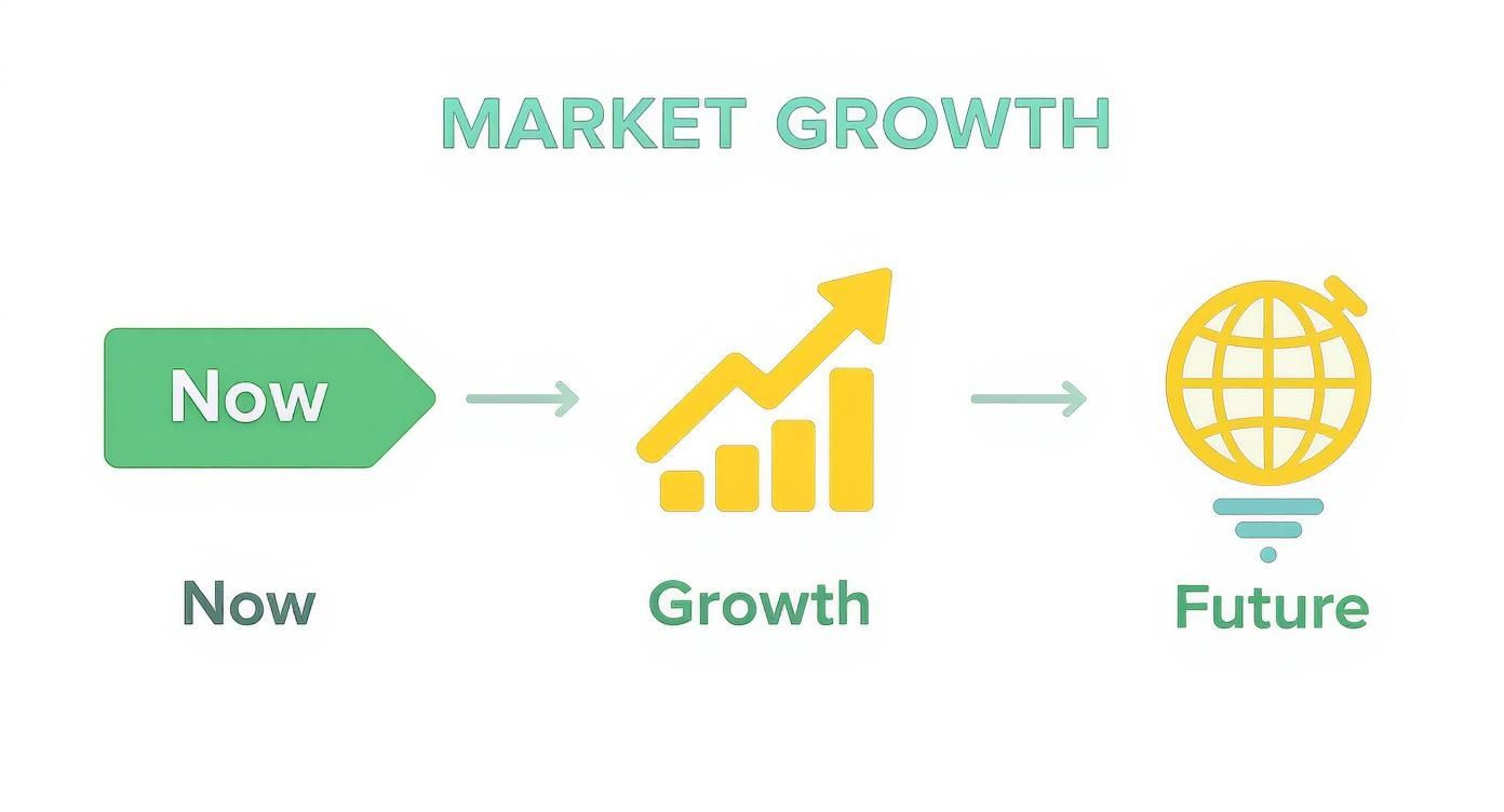 A visual depicting market growth progression from 'Now' to 'Growth' (chart) to 'Future' (globe lightbulb).