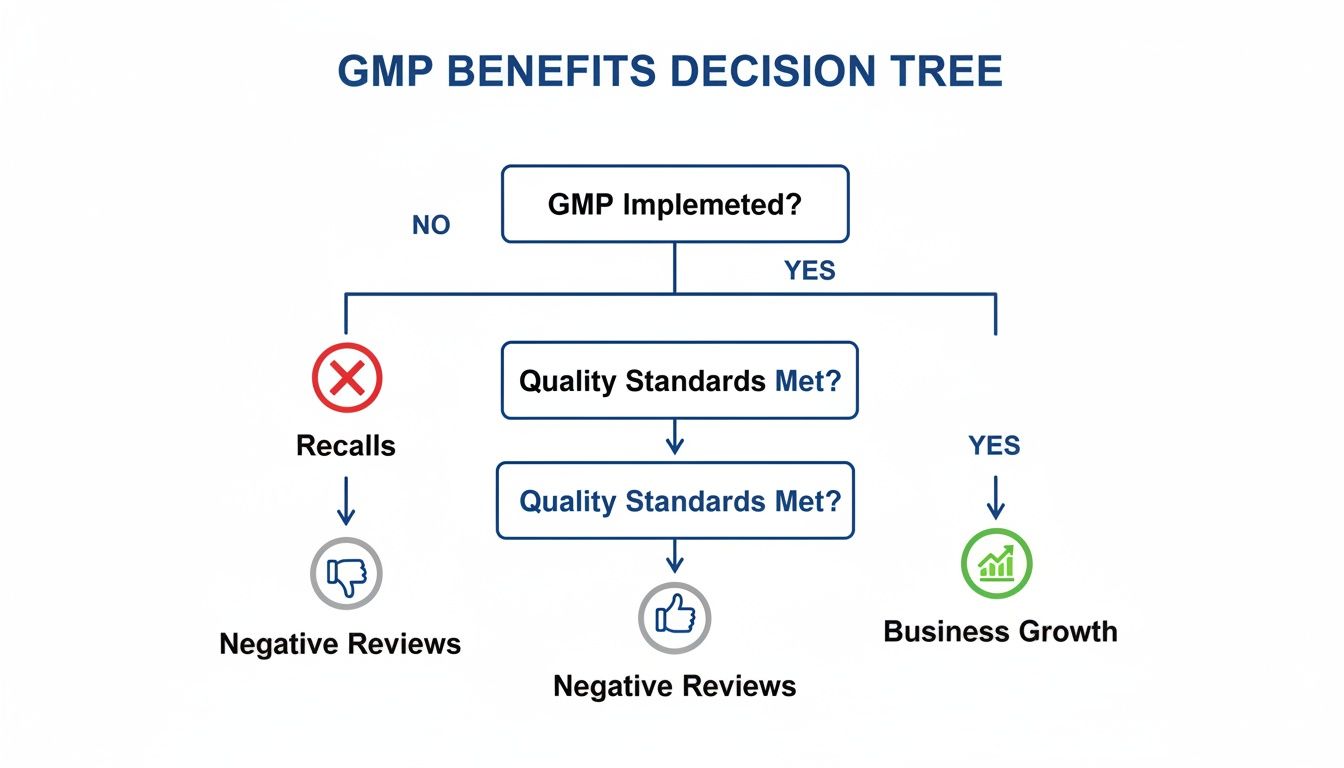 Decision tree illustrating GMP benefits, showing that GMP implementation and meeting quality standards lead to business growth.