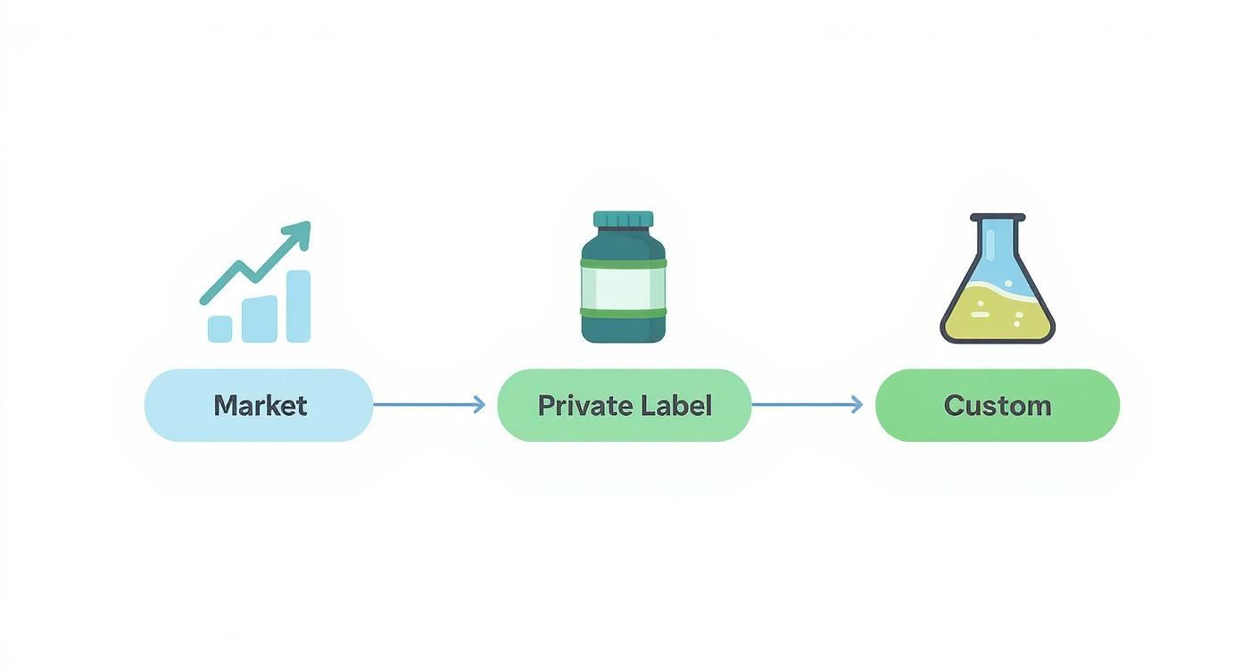 Three-stage progression diagram showing Market, Private Label, and Custom supplement development options with corresponding icons