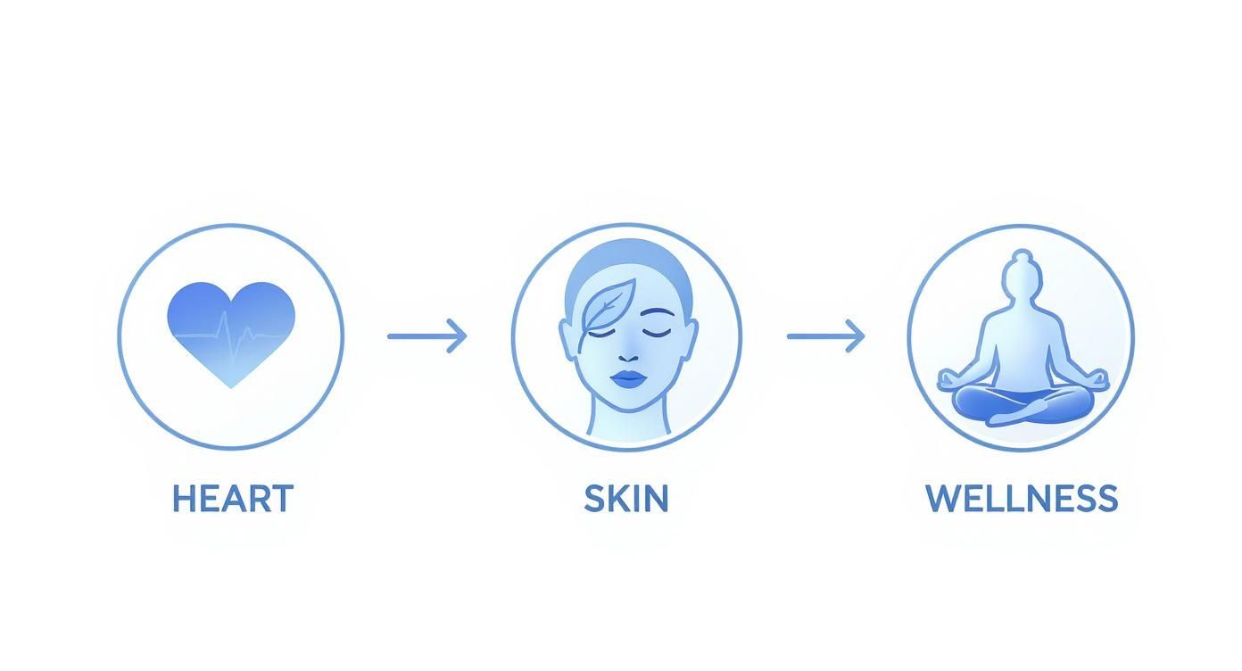Diagram showing the progression from heart health to skin health, leading to overall wellness, with icons.