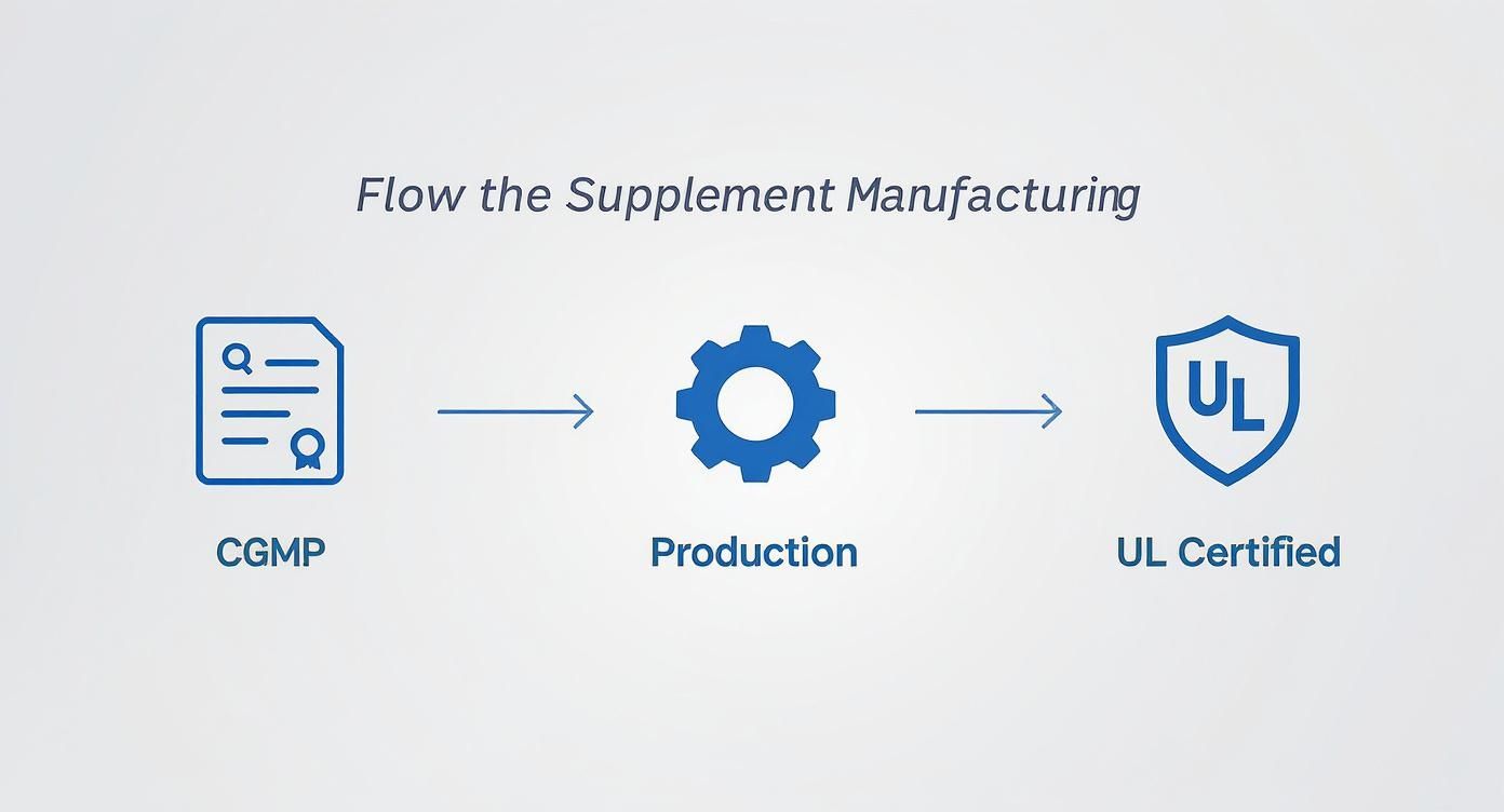 Infographic showing the supplement manufacturing process with icons for cGMP, Production, and UL Certified.