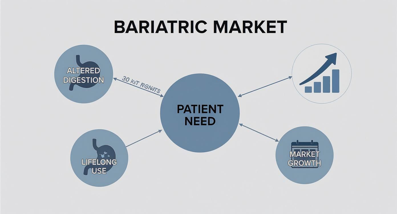 Diagram illustrating the bariatric market, focusing on patient needs, altered digestion, lifelong use, and market growth.