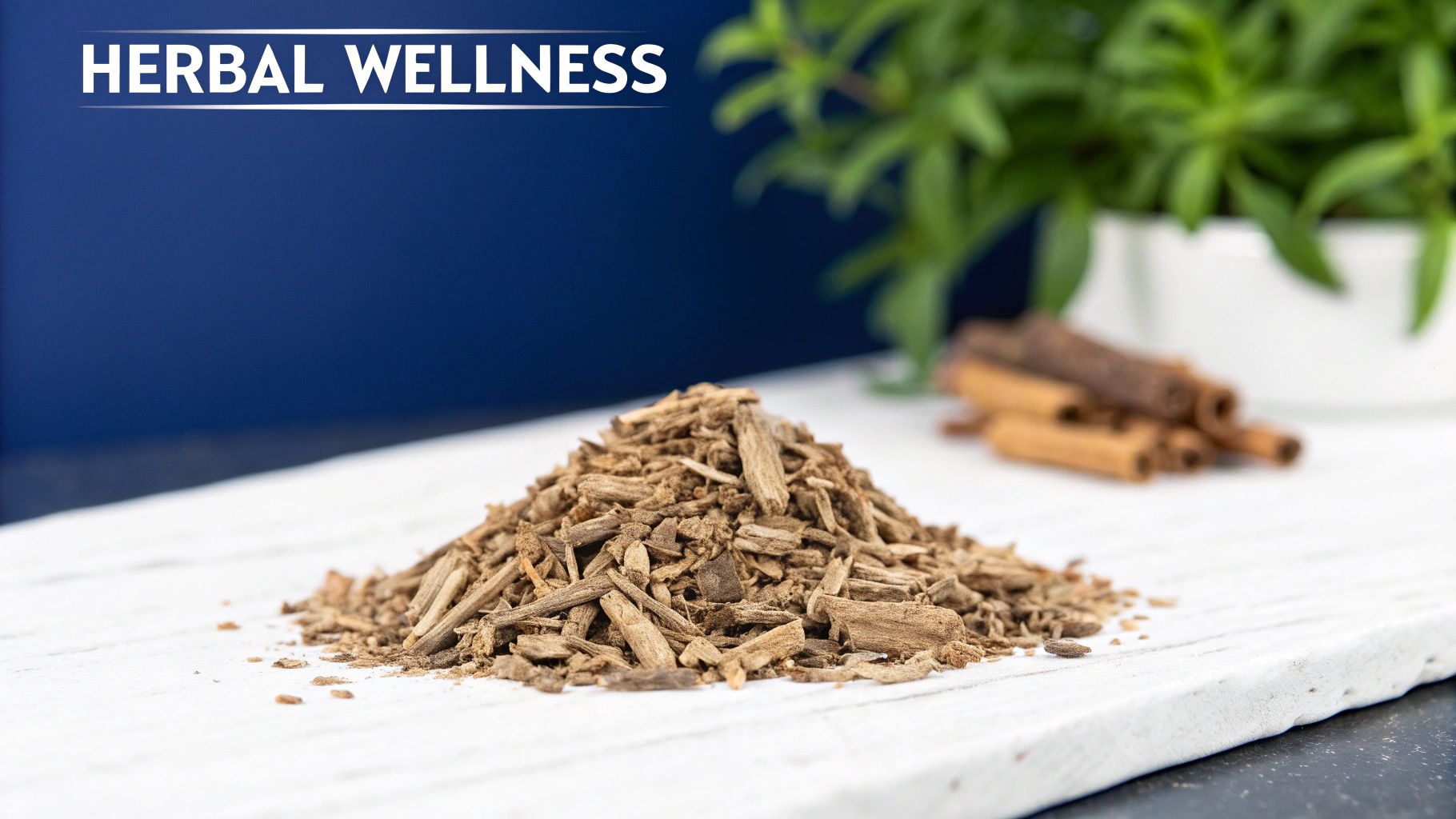 A person holding a dropper bottle of Valerian Root extract, with fresh Valerian Root on a wooden table beside them.