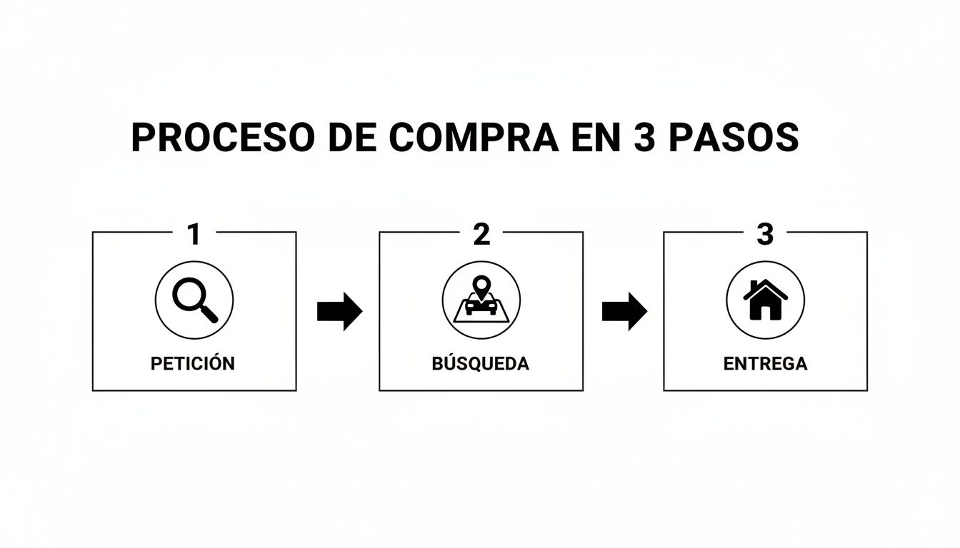Diagrama de un proceso de compra de 3 pasos: petición, búsqueda y entrega, ilustrado con íconos para cada fase.