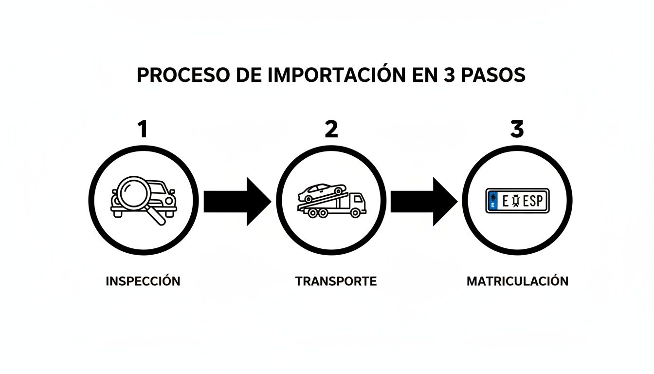 Diagrama que muestra el proceso de importación de vehículos en 3 pasos: inspección, transporte y matriculación.