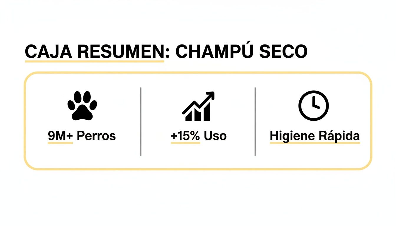Caja resumen informativa sobre champú seco para perros, destacando 9M+ perros, +15% uso y higiene rápida.