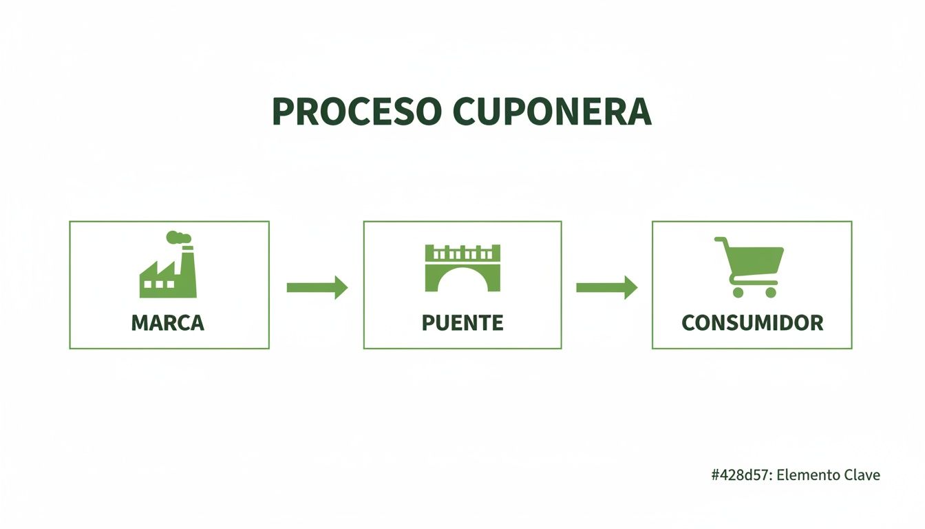 Diagrama ilustrativo del proceso de una cuponera, mostrando el flujo de marca, puente y consumidor.