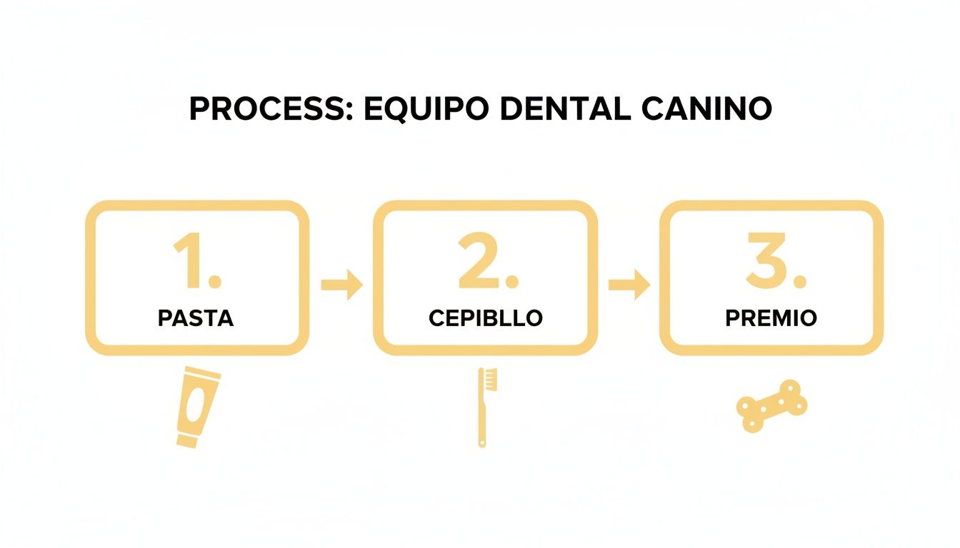 Proceso de 3 pasos para el cuidado dental canino: aplicar pasta, cepillar dientes y dar premio.