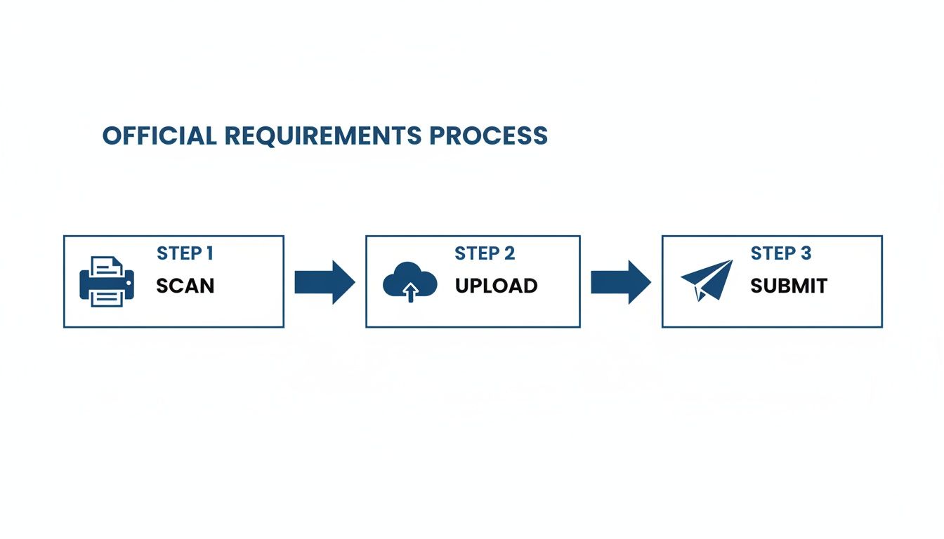 Three-step official requirements process flow diagram showing scan, upload, and submit document steps.