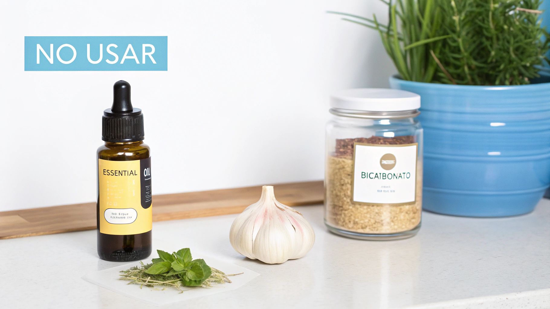 Artículos de uso doméstico como aceite esencial, ajo, hierbas y bicarbonato, con la advertencia de 'NO USAR'.