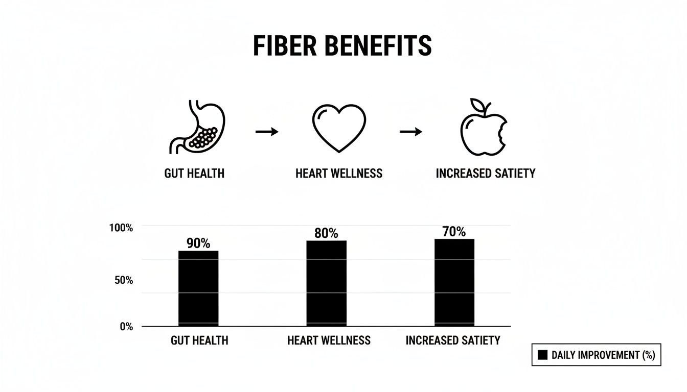 Infographic detailing fiber benefits: gut health (90% improvement), heart wellness (80%), and increased satiety (70%).