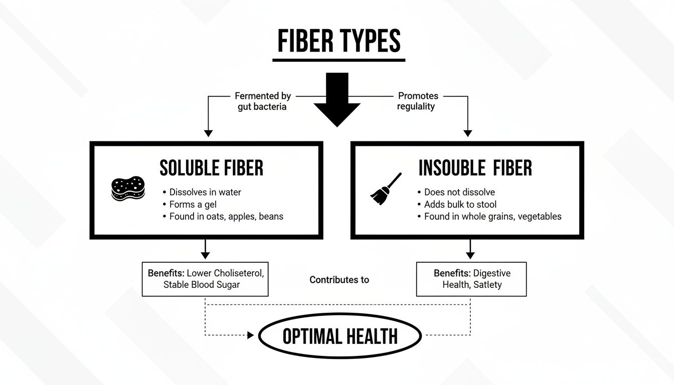 Infographic illustrating soluble and insoluble fiber types, their benefits, sources, and impact on optimal health.