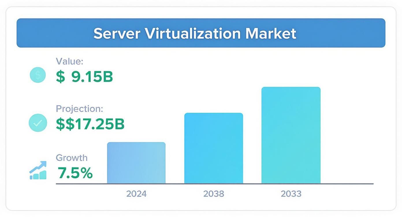 Infographic about virtualization of servers benefits