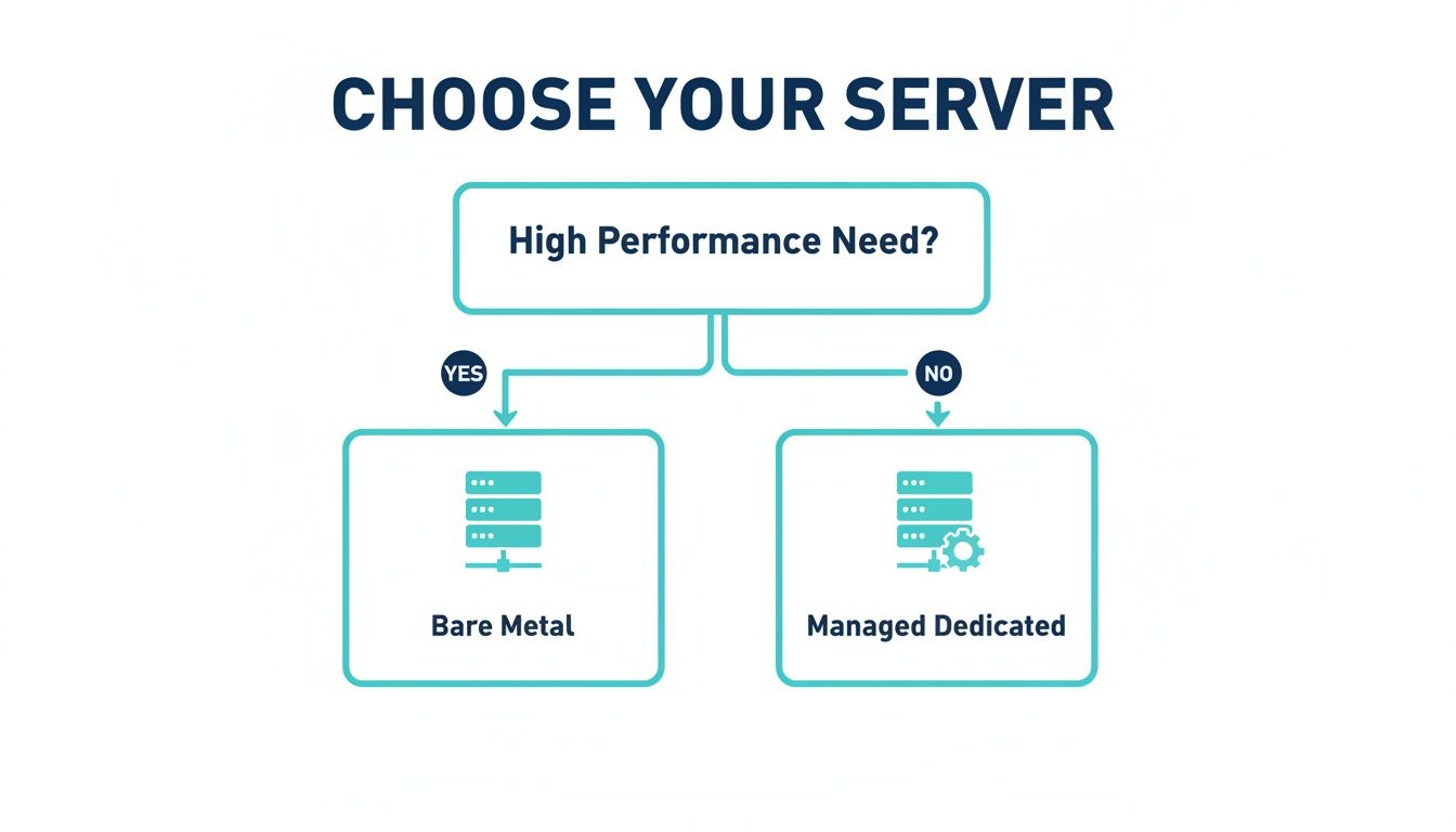 Flowchart guiding server selection: Bare Metal for high performance, Managed Dedicated for other needs.