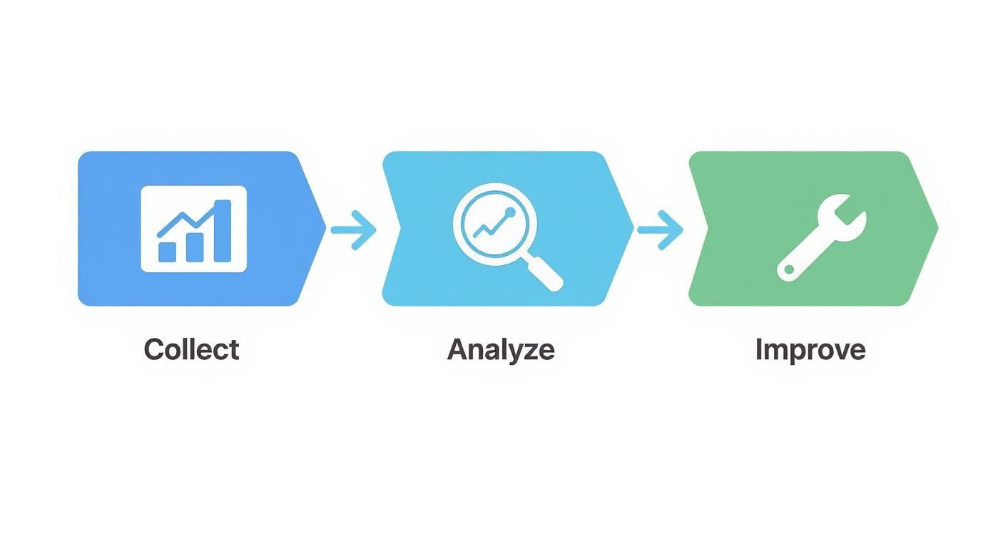 Infographic about how to optimize website performance