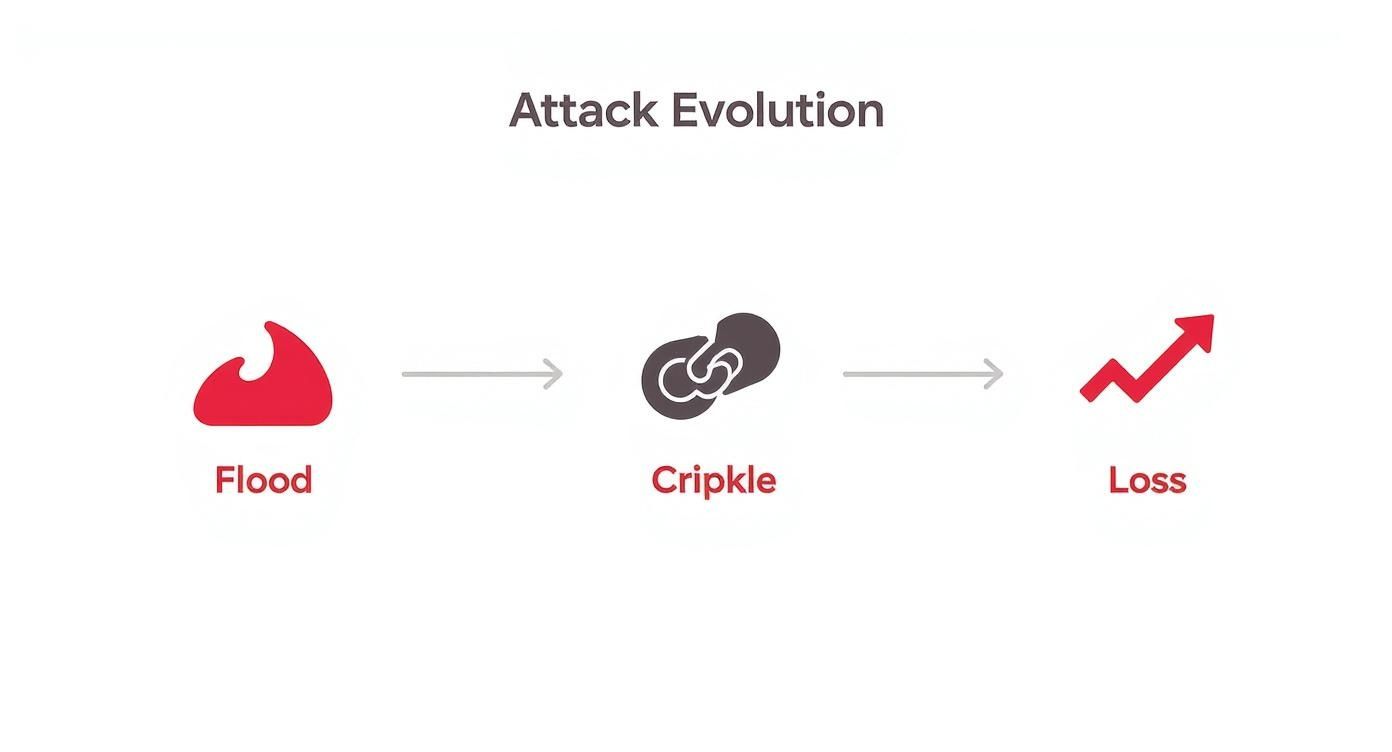 Infographic about ddos protection dedicated server