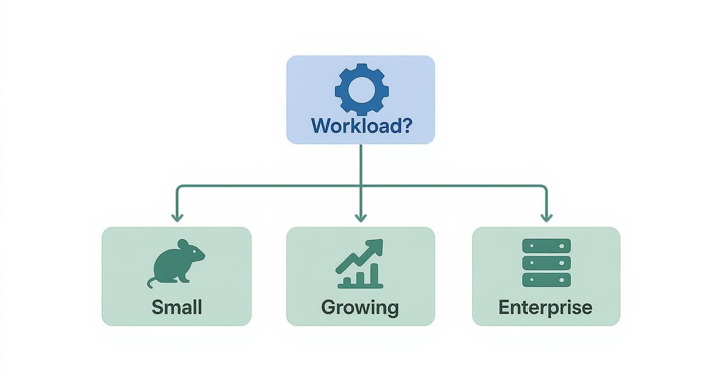 Infographic about how to choose a web hosting provider