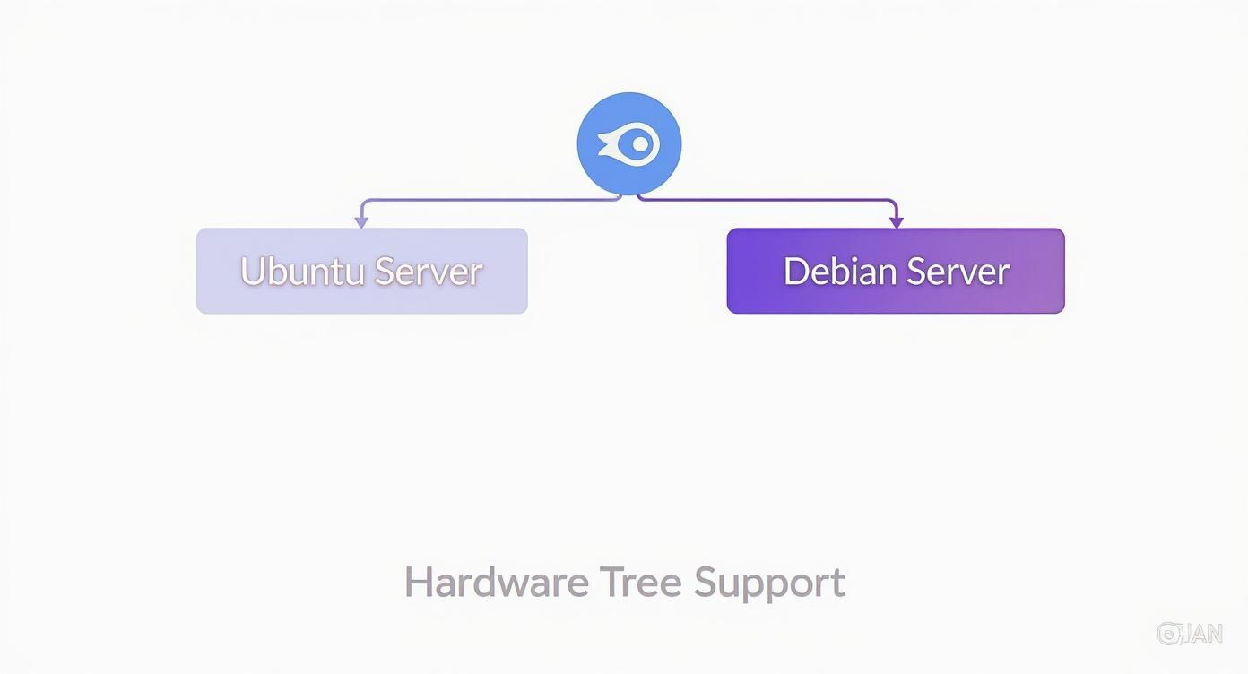 Diagram illustrating hardware tree support for both Ubuntu and Debian servers from a central system.