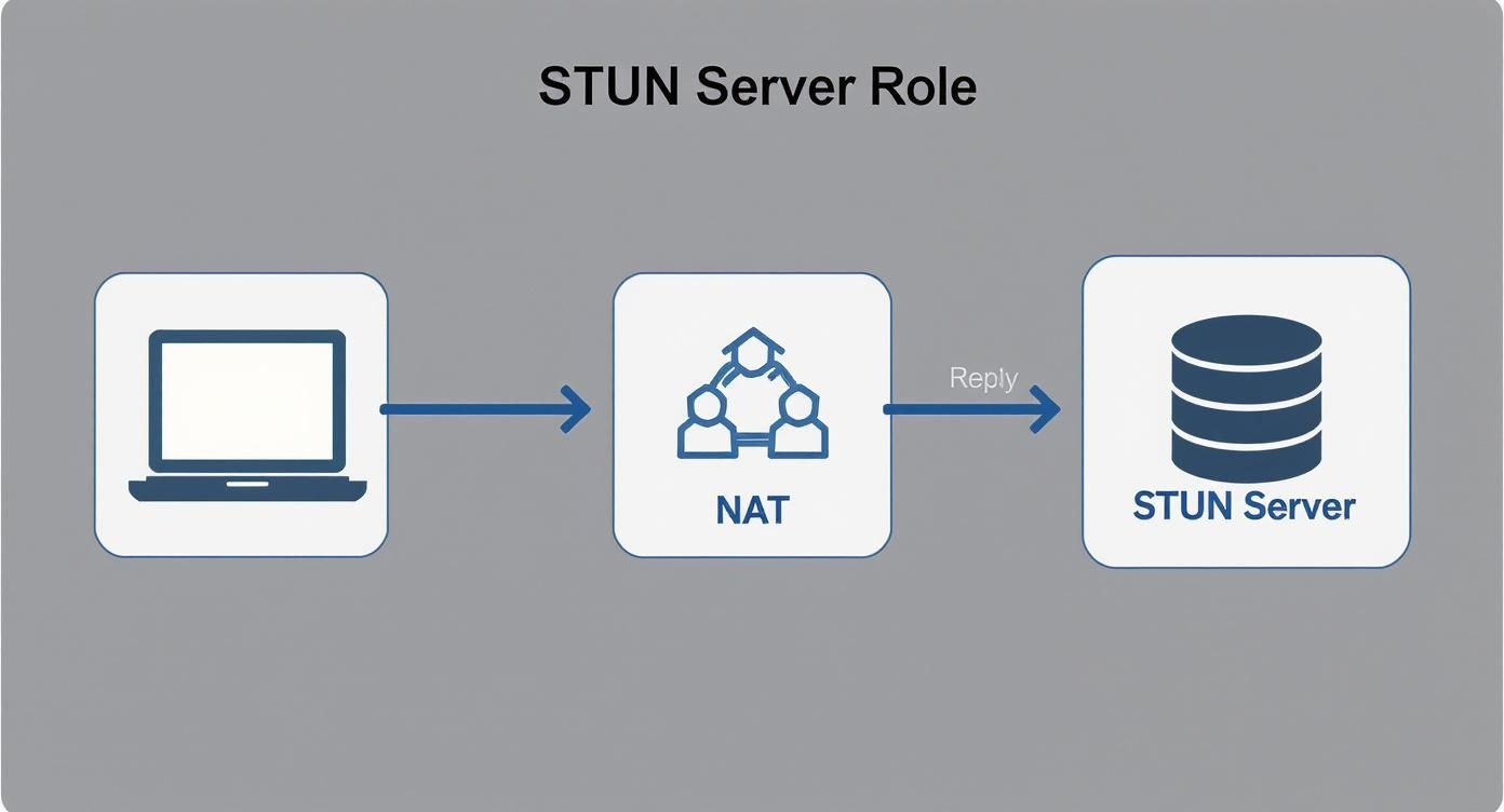 Infographic about what is a stun server