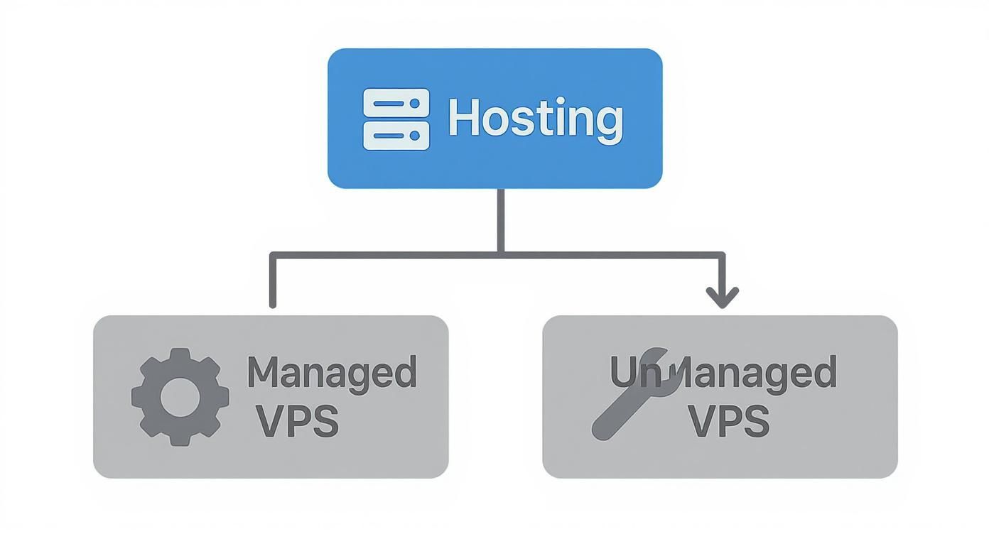 Infographic about best unmanaged vps hosting