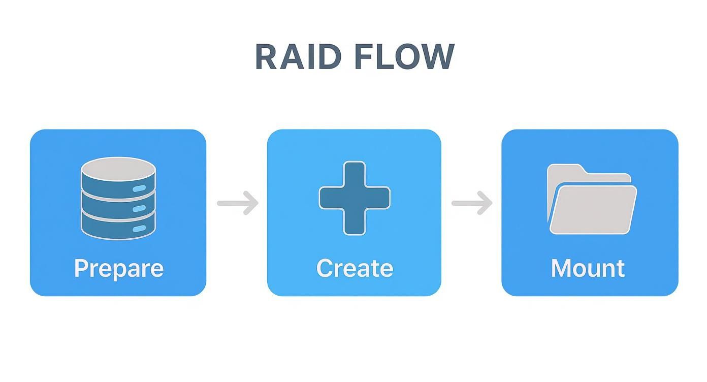 Infographic about how to setup a raid system