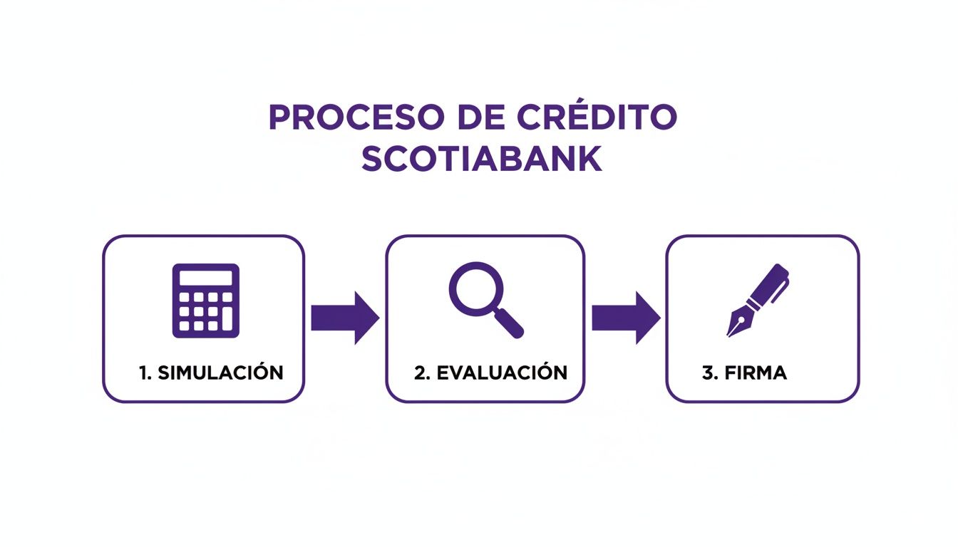 Infografía del proceso de crédito Scotiabank con tres pasos: simulación, evaluación y firma.