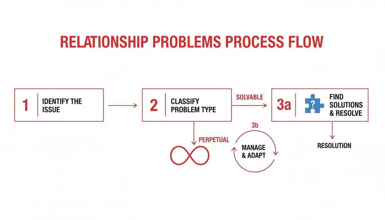 Flowchart illustrating a structured process for identifying, classifying, and resolving relationship problems, including perpetual issues.