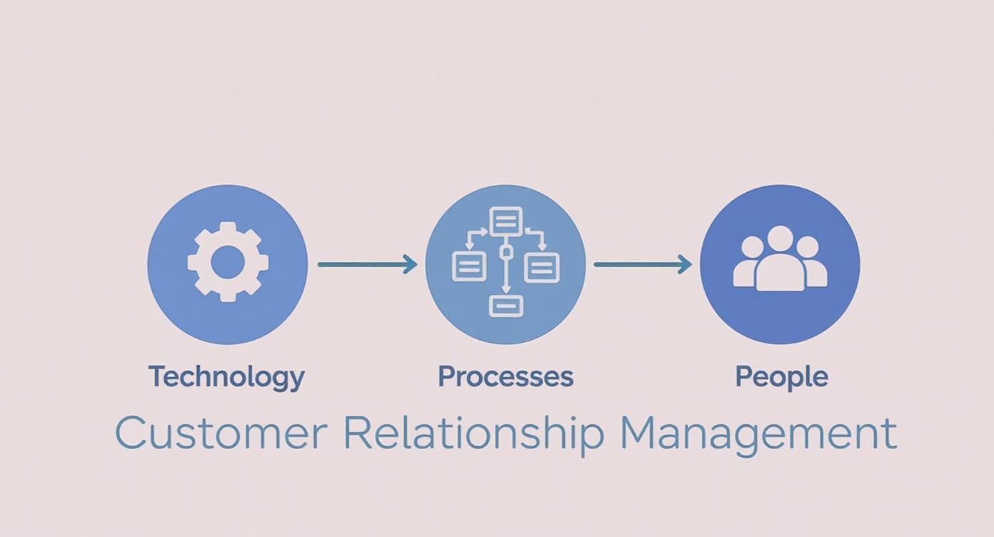 Infographic about customer relationship management basics